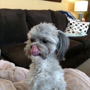 Meet your Posher, Donna